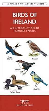 Ireland Birds: A Folding Pocket Guide to Familiar Species (Hardcover)