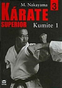 Karate Superior / Superior Karate (Paperback, Translation)