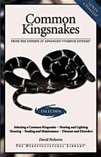 Common Kingsnakes (Paperback)
