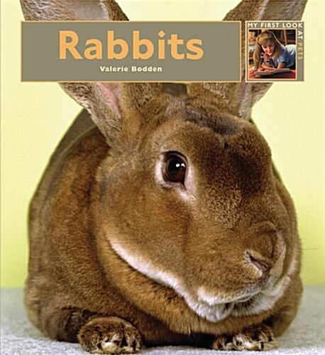 Rabbits (Library)