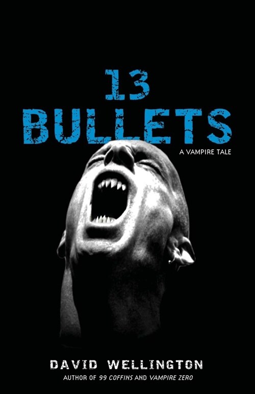 13 Bullets (Paperback)
