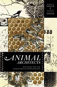 Animal Architects: Building and the Evolution of Intelligence (Hardcover)