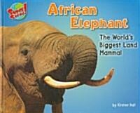 African Elephant: The Worlds Biggest Land Mammal (Library Binding)