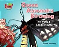 Queen Alexandra Birdwing: The Worlds Largest Butterfly (Library Binding)