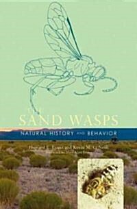 The Sand Wasps: Natural History and Behavior (Hardcover)