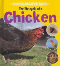 The Life Cycle of a Chicken (Library Binding)