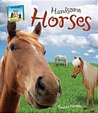 Handsome Horses (Library Binding)