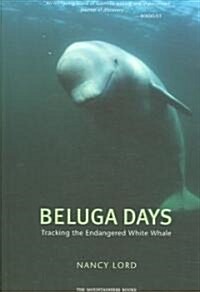 Beluga Days: Tales of an Endangered White Whale (Paperback)