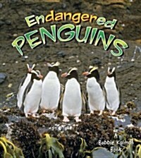 Endangered Penguins (Paperback)