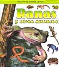 Ranas Y Otros Anfibios (Frogs and Other Amphibians) (Paperback)