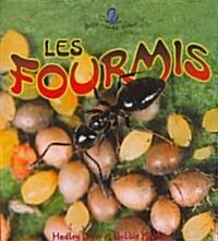 Les Fourmis (the Life Cycle of an Ant) (Paperback)