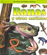 Ranas Y Otros Anfibios (Frogs and Other Amphibians) (Library Binding)