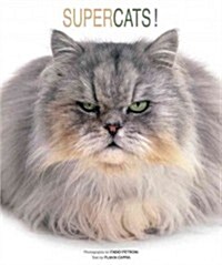 Super Cats (Hardcover, Translation)