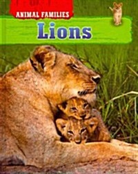 Lions (Library Binding)