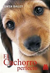 El Cachorro Perfecto / the Perfect Puppy (Paperback)