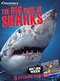 The Big Book of Sharks (Paperback)