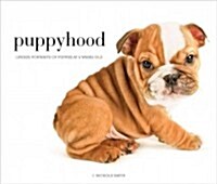 [중고] Puppyhood: Life-Size Portraits of Puppies at 6 Weeks Old (Hardcover)