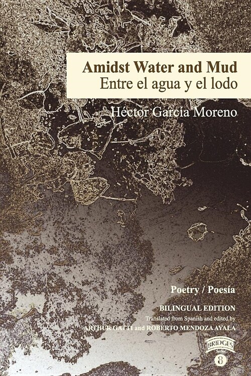 Amidst Water and Mud / Entre El Agua y El Lodo (Paperback)