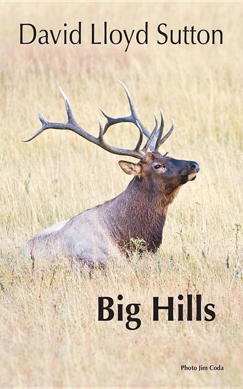 Big Hills (Paperback)