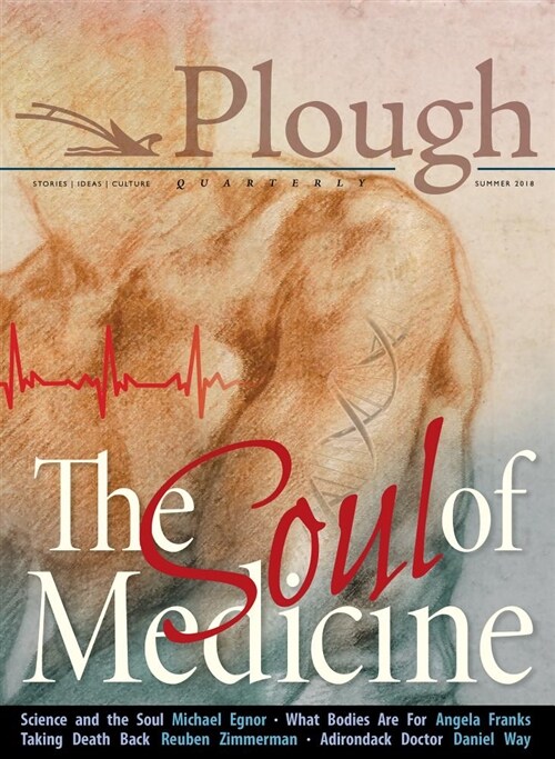 Plough Quarterly No. 17- The Soul of Medicine (Paperback)