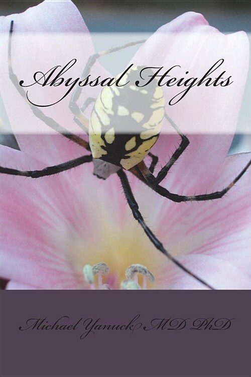 Abyssal Heights (Paperback)