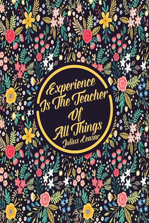 Experience Is the Teacher of All Things: Blank Lined Journal Portable (Paperback)