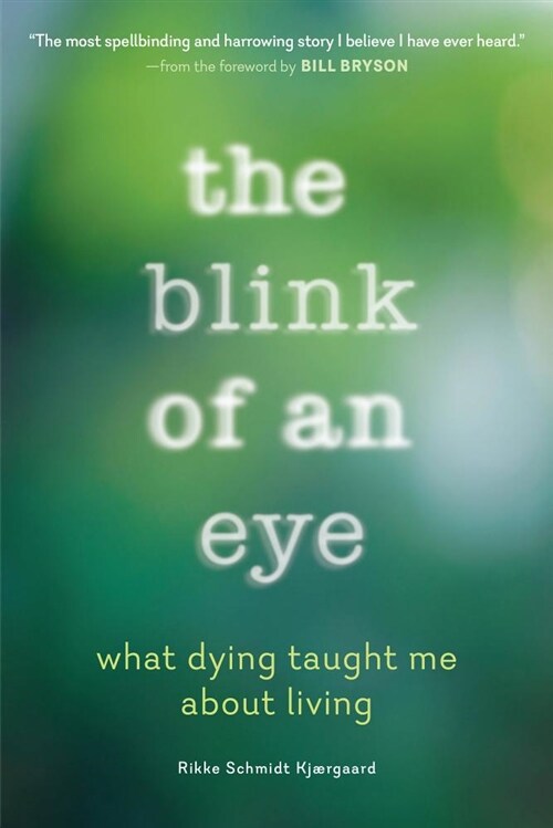 The Blink of an Eye: A Memoir of Dying - And Learning How to Live Again (Paperback)