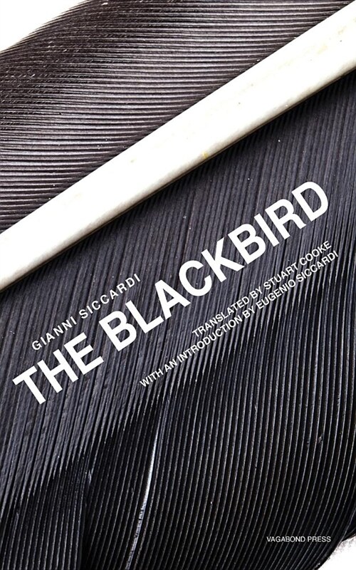 The Blackbird (Paperback)