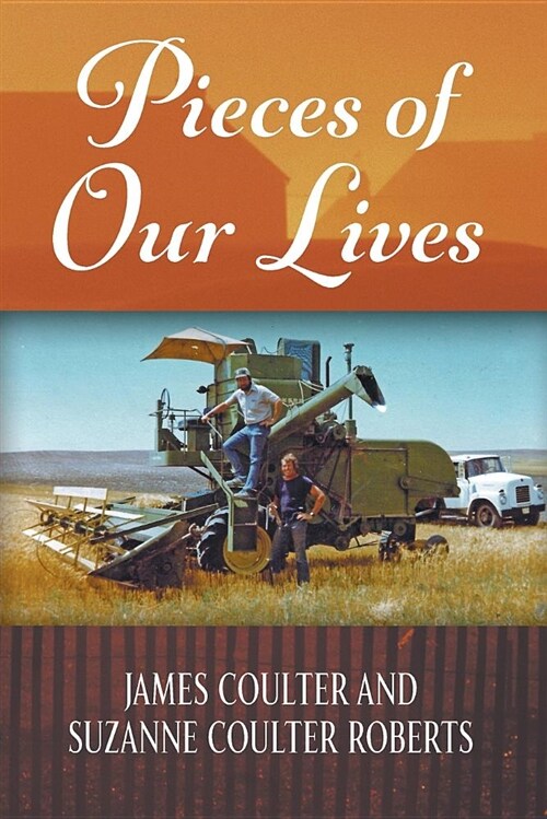 Pieces of Our Lives (Paperback)