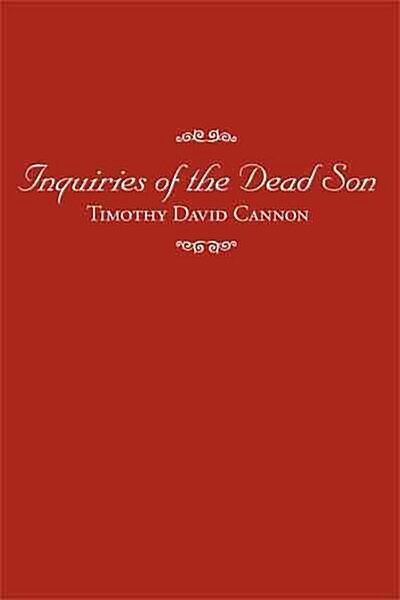 Inquiries of the Dead Son (Paperback)