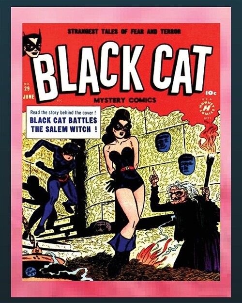 Black Cat (Paperback)