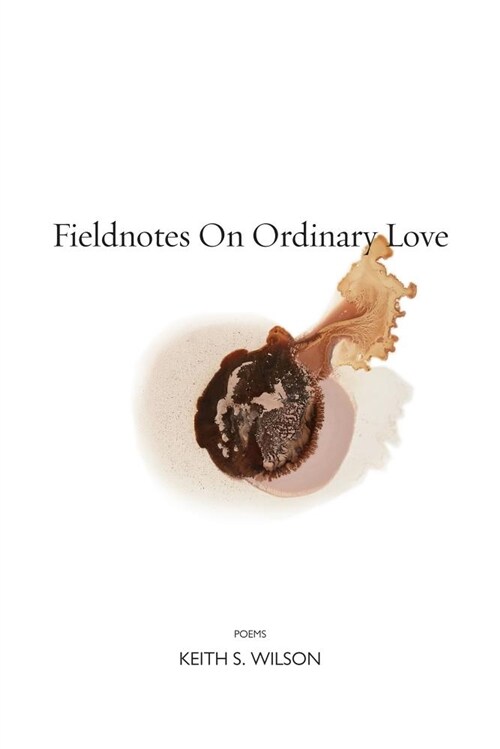 Fieldnotes on Ordinary Love (Paperback)