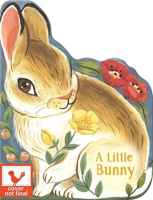 A Little Bunny (Board Books)