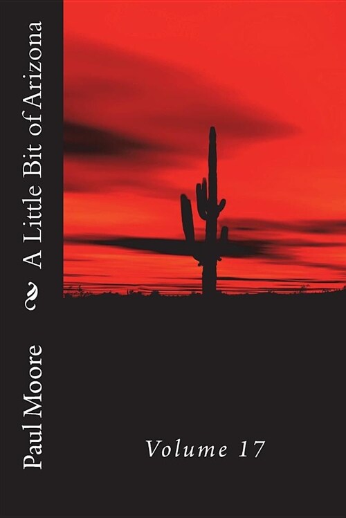 A Little Bit of Arizona: Volume 17 (Paperback)