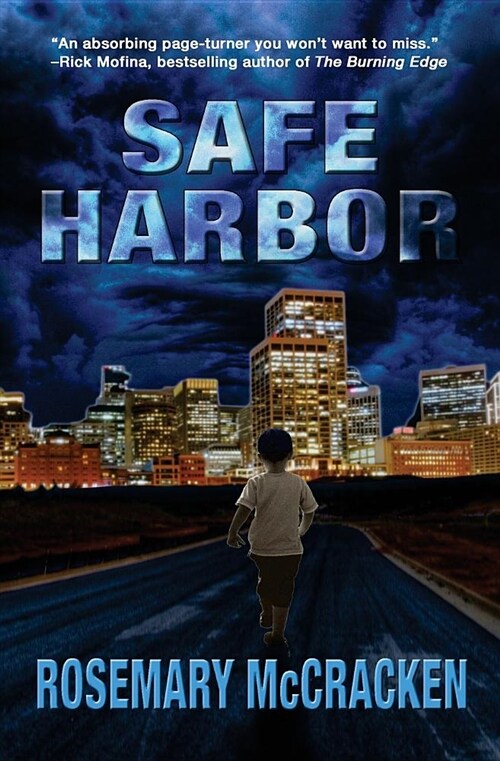 Safe Harbor (Paperback)