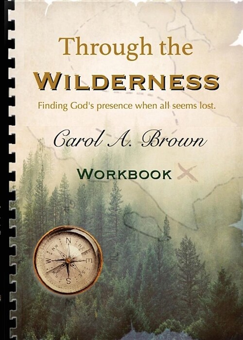 Through the Wilderness Workbook: A Guided Spiritual Adventure Through Wilderness Places. (Paperback)