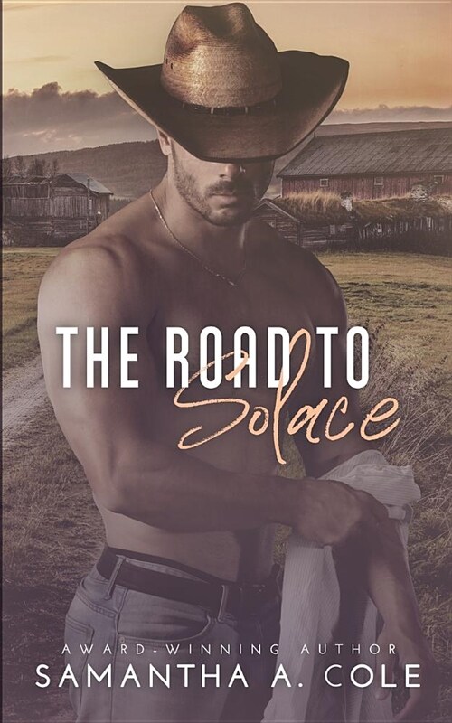 The Road to Solace (Paperback, 2, New Cover & Tit)