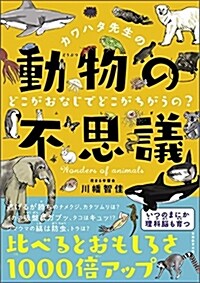 カワハタ先生の動物の不思議どこ (A5)