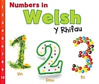Numbers in Welsh : Y Rhifau (Hardcover)