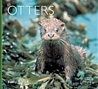Otters (Paperback)