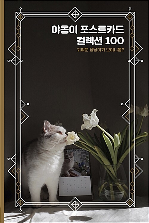 야옹이 포스트카드 컬렉션 100 : 고양이 엽서북