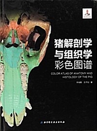 猪解剖學與组织學彩色圖谱(精) (精裝, 第1版)