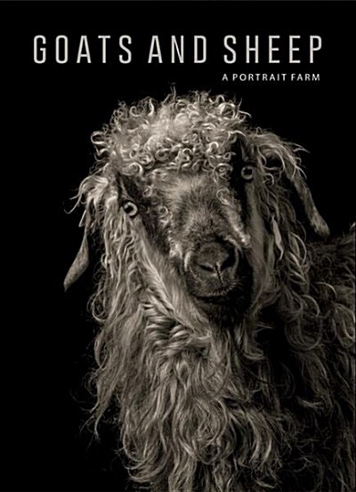 Goats and Sheep. a Portrait Farm (Hardcover)