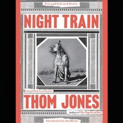 Night Train Lib/E: New and Selected Stories (Audio CD)