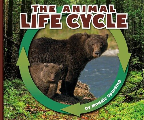 The Animal Life Cycle (Library Binding)