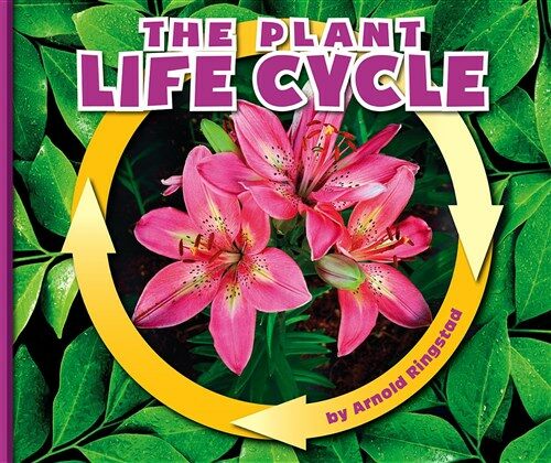 The Plant Life Cycle (Library Binding)