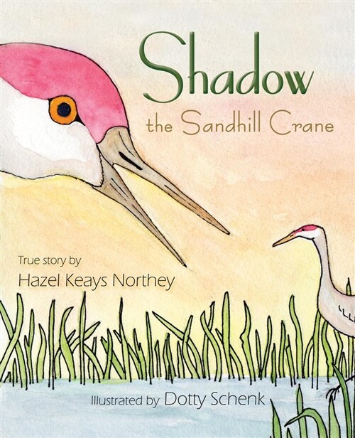 Shadow the Sandhill Crane (Paperback)