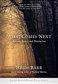 What Comes Next (Paperback)