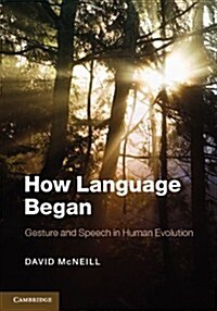 How Language Began : Gesture and Speech in Human Evolution (Paperback)