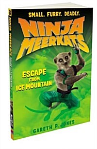 Escape from Ice Mountain (Paperback)